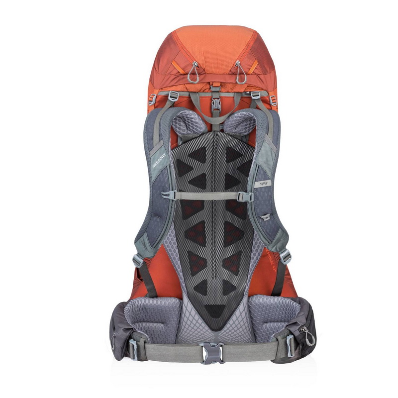 Gregory Baltoro 75L backpack frame view